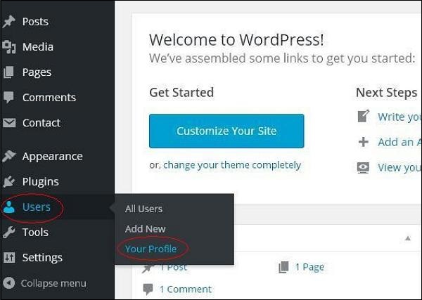 WordPress